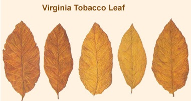 british american tobacco corporate social responsibility British American Tobacco Bangladesh british american tobacco corporate social responsibility British American Tobacco Bangladesh
