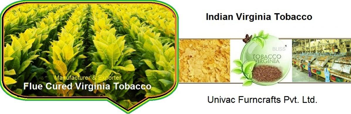 virginia-tobacco-india